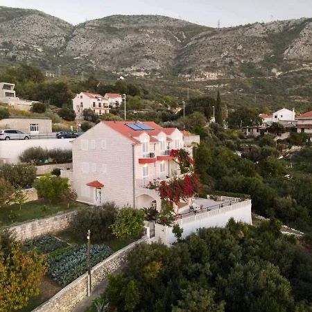 Villa Panorama Dubrovnik Mlini Buitenkant foto